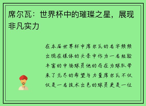 席尔瓦：世界杯中的璀璨之星，展现非凡实力