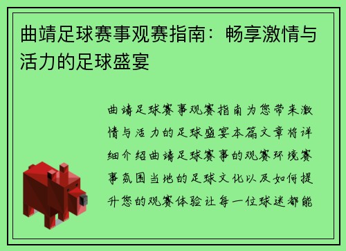曲靖足球赛事观赛指南：畅享激情与活力的足球盛宴