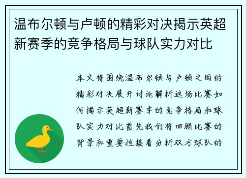 温布尔顿与卢顿的精彩对决揭示英超新赛季的竞争格局与球队实力对比