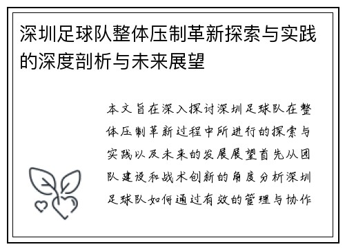 深圳足球队整体压制革新探索与实践的深度剖析与未来展望